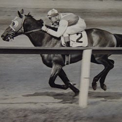 72 Reasons Why We Love the Del Mar Races